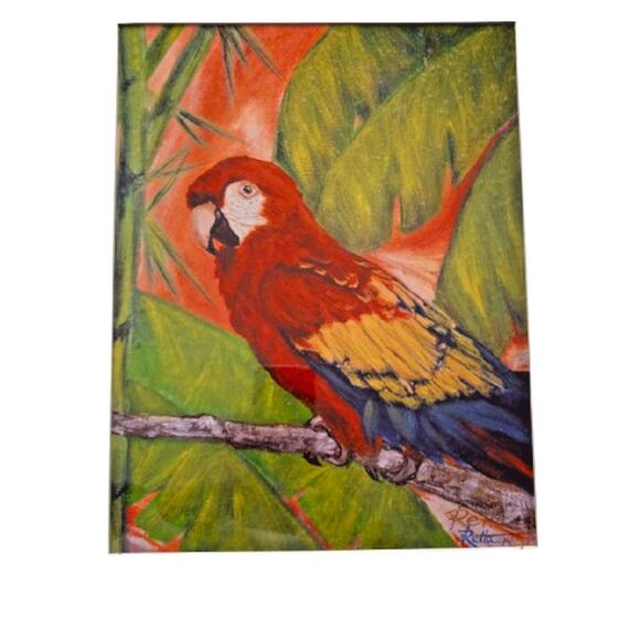 Parrot Picture Signed by Retta Colorful Professionally Matted and Framed - Picture 3 of 9